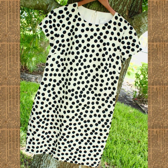 J. Crew Dresses & Skirts - NWT!! J.Crew Polka Dot Dress